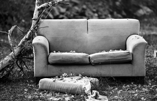 sofa abandonado