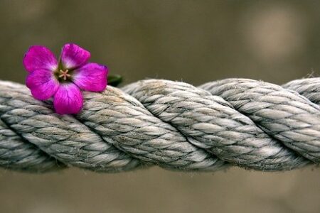 violeta sobre una cuerda