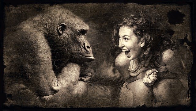 mujer frente a gorila